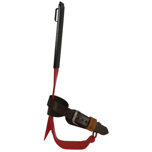 Bashlin BD12C-1IN Steel Alloy Climbers with Non-Replaceable Gaff